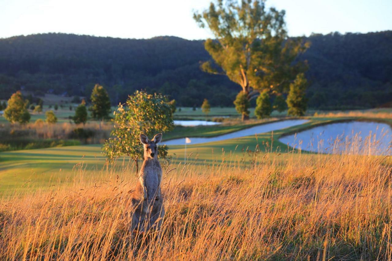 Chateau Yering Hotel Yarra Glen Extérieur photo